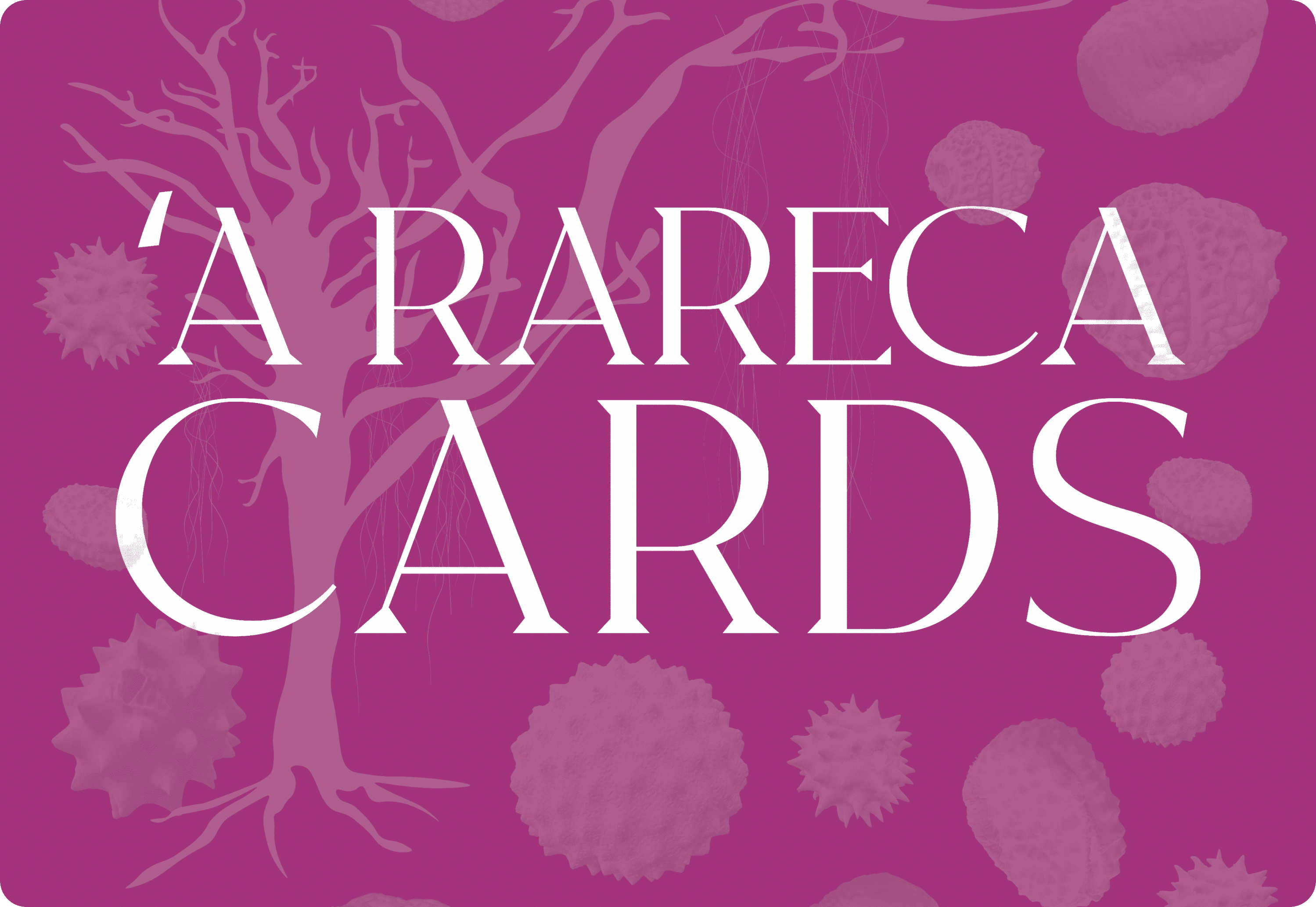Immagine 7 del progetto A Rareca Kit