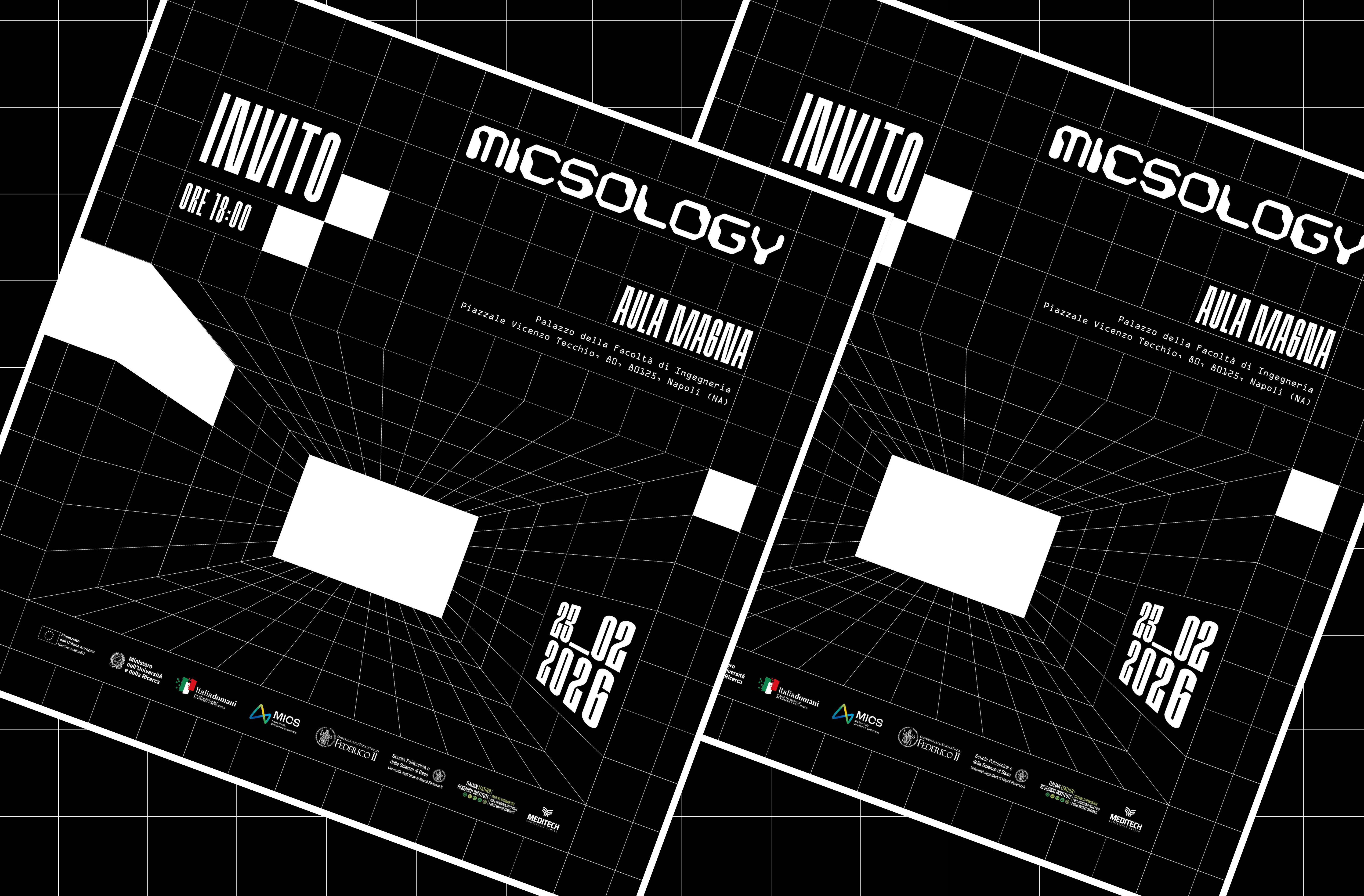 Immagine 4 del progetto Micsology
