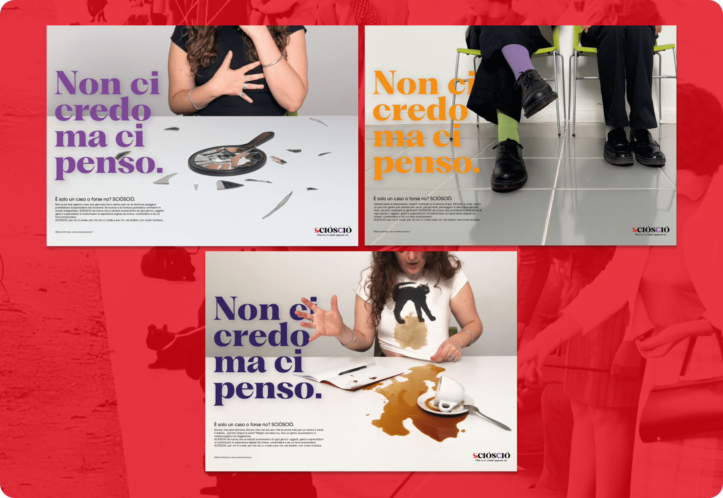 Immagine 11 del progetto Sciò Sciò