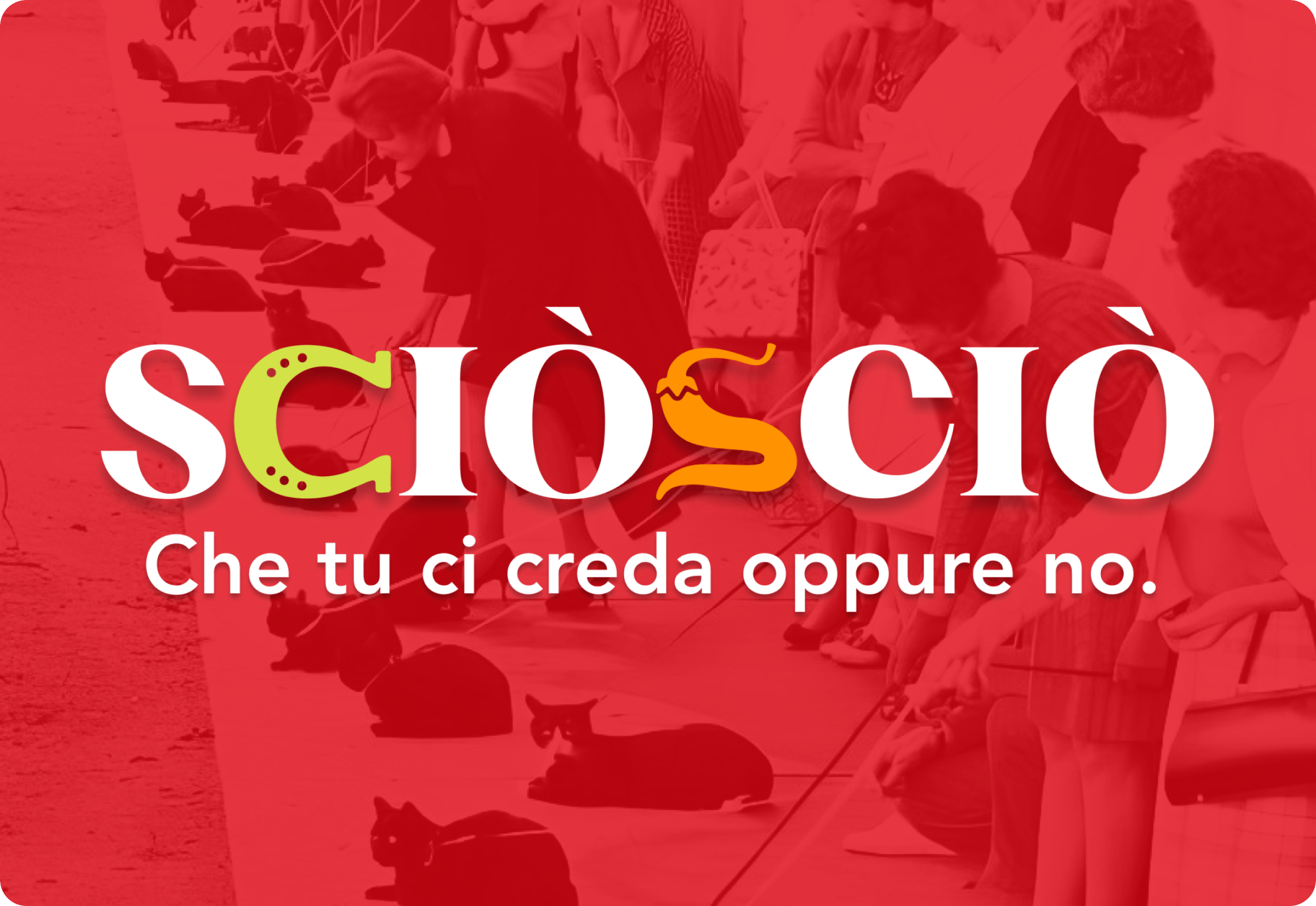 Immagine 17 del progetto Sciò Sciò